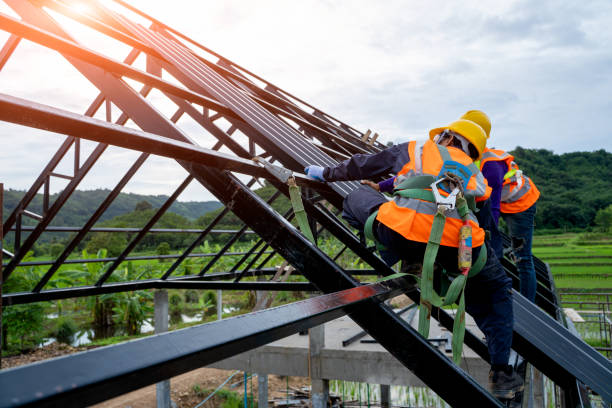 Best Roof Gutter Cleaning  in Hoquiam, WA
