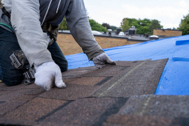 Best Shingle Roofing Installation  in Hoquiam, WA