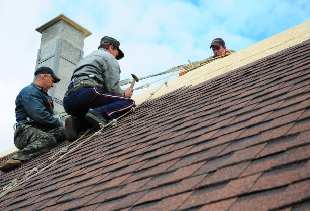 Best New Roof Installation  in Hoquiam, WA